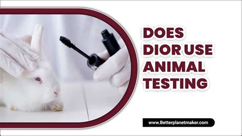 does dior use fur|Dior animal products ethical.